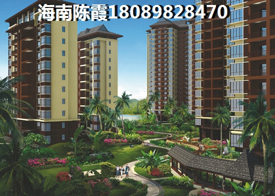 五一中央领御 三居  户型图