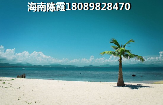 怡海星城 三居  户型图